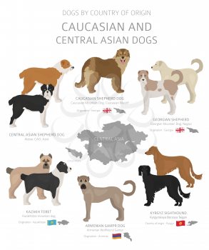 Dogs by country of origin. Caucasian and central asian dog breeds. Shepherds, hunting, herding, toy, working and service dogs  set.  Vector illustration