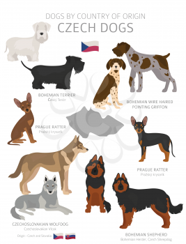 Dogs by country of origin. Czech dog breeds. Shepherds, hunting, herding, toy, working and service dogs  set.  Vector illustration
