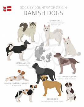 Dogs by country of origin. Danish dog breeds. Shepherds, hunting, herding, toy, working and service dogs  set.  Vector illustration