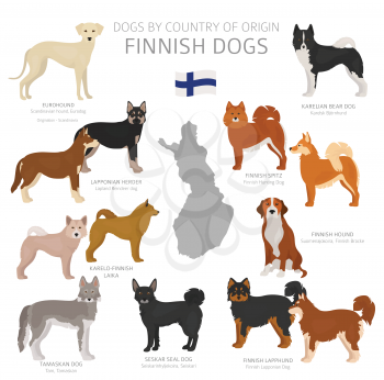 Dogs by country of origin. Finnish dog breeds. Shepherds, hunting, herding, toy, working and service dogs  set.  Vector illustration