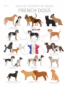 Dogs by country of origin. French dog breeds. Shepherds, hunting, herding, toy, working and service dogs  set.  Vector illustration