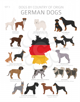 Dogs by country of origin. German dog breeds. Shepherds, hunting, herding, toy, working and service dogs  set.  Vector illustration