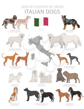 Dogs by country of origin. Italian dog breeds. Shepherds, hunting, herding, toy, working and service dogs  set.  Vector illustration