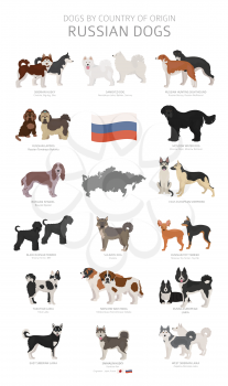 Dogs by country of origin. Russian dog breeds. Shepherds, hunting, herding, toy, working and service dogs  set.  Vector illustration