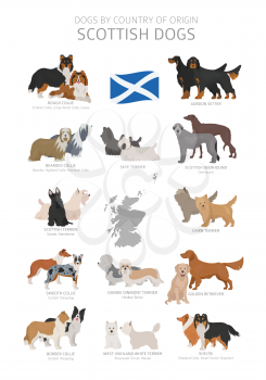 Dogs by country of origin. Scottish dog breeds. Shepherds, hunting, herding, toy, working and service dogs  set.  Vector illustration