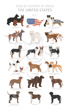 Dogs by country of origin. Dog breeds from the United states of America. Shepherds, hunting, herding, toy, working and service dogs  set.  Vector illustration
