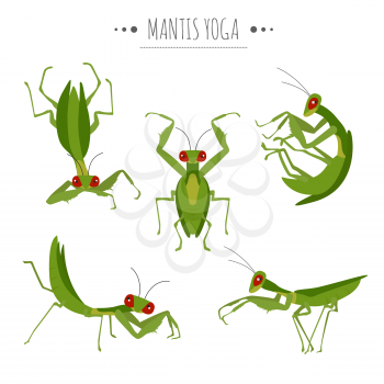 Mantis yoga poses and exercises. Cute cartoon clipart set. Vector illustration