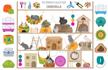 Pet rodents home accessories icon set flat style isolated on white. Care collection. Create own infographic about guinea pig, rat, hamster, chinchilla, mouse, rabbit. Vector illustration