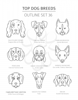 Top dog breeds. Hunting dogs set. Pet outline collection. Vector illustration