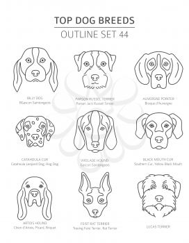 Top dog breeds. Hunting dogs set. Pet outline collection. Vector illustration