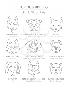 Top dog breeds. Hunting, shepherd and companion dogs set. Pet outline collection. Vector illustration