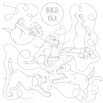 Yoga dogs poses and exercises. Beagle clipart. Simple line design. Vector illustration