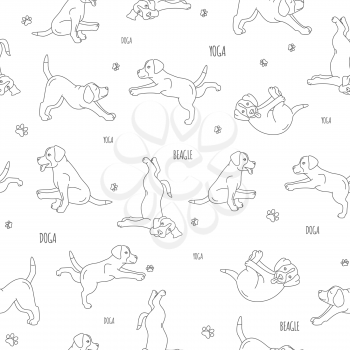 Yoga dogs poses and exercises. Beagle seamless pattern. Vector illustration
