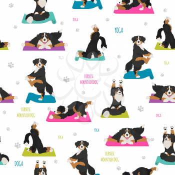 Yoga dogs poses and exercises. Bernese mountain dog seamless pattern. Vector illustration