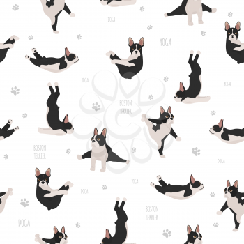 Yoga dogs poses and exercises. French bulldog  seamless pattern. Vector illustration