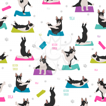 Yoga dogs poses and exercises. French bulldog  seamless pattern. Vector illustration