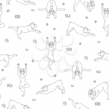 Yoga dogs poses and exercises. Boxer dog seamless pattern. Simple line design. Vector illustration