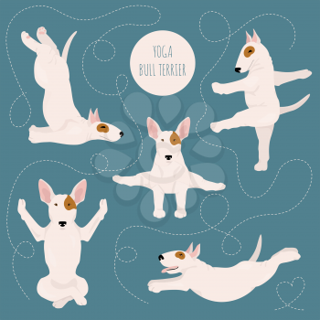 Yoga dogs poses and exercises. Bull terrier clipart. Vector illustration