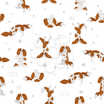 Yoga dogs poses and exercises. Cavalier King Charles spaniel seamless pattern. Vector illustration