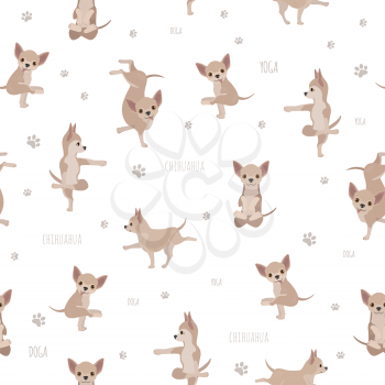Yoga dogs poses and exercises. Chihuahua seamless pattern. Vector illustration