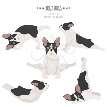Yoga dogs poses and exercises. French bulldog clipart. Vector illustration