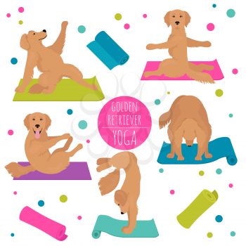 Yoga dogs poses and exercises. Golden retriever clipart. Vector illustration