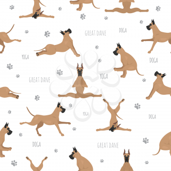 Yoga dogs poses and exercises. Great dane seamless pattern. Vector illustration