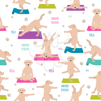 Yoga dogs poses and exercises. Labrador retriever seamless pattern. Vector illustration