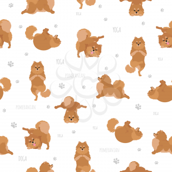 Yoga dogs poses and exercises. Pomeranian seamless pattern. Vector illustration