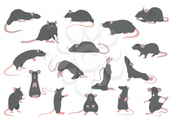 Different rats collection. Rat poses and exercises. Cute cartoon clipart set. Vector illustration