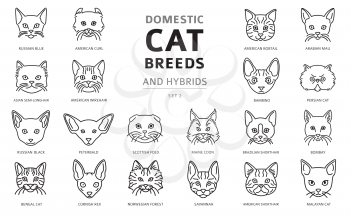 Domestic cat breeds and hybrids linear portraits collection isolated on white. Simple line cat`s head style set. Vector illustration