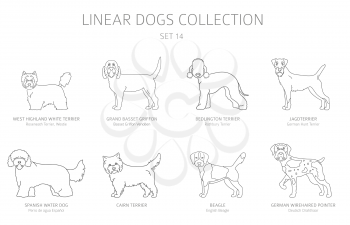 Simple line dogs collection isolated on white. Dog breeds. Flat style clipart set. Vector illustration