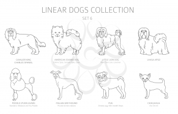 Simple line dogs collection isolated on white. Dog breeds. Flat style clipart set. Vector illustration