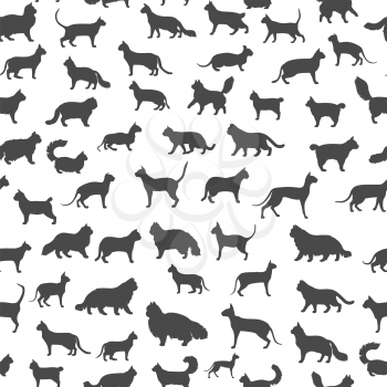 Cat breeds icon set flat style seamless pattern. Cartoon silhouettes cats characters collection. Vector illustration