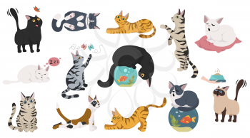 Cartoon cat characters collection. Different cat`s poses, yoga and emotions set. Flat color simple style design. Vector illustration