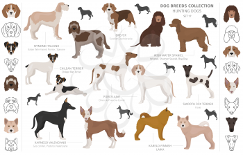 Hunting dogs collection isolated on white clipart. Flat style. Different color, portraits and silhouettes. Vector illustration