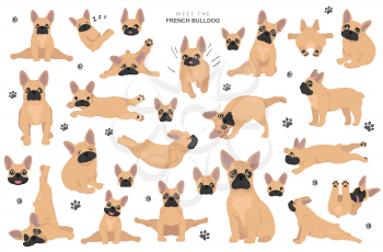 French bulldog clipart. Dog healthy silhouette and yoga poses set.  Vector illustration