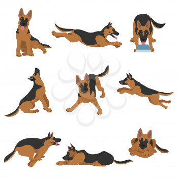 German shepherd dogs in different poses. Shepherd characters set.  Vector illustration