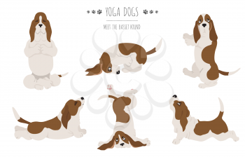 Yoga dogs poses and exercises. Basset hound clipart. Vector illustration