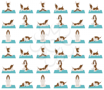 Yoga dogs poses and exercises. Basset hound seamless pattern. Vector illustration