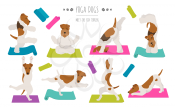Yoga dogs poses and exercises poster design. Smooth fox terrier and wire fox terrier clipart. Vector illustration