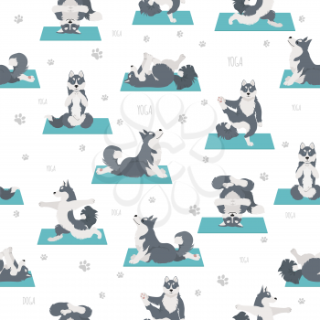 Yoga dogs poses and exercises. Siberian husky and Alaskan husky seamless pattern. Vector illustration