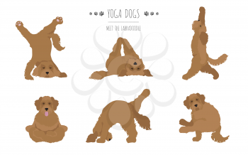 Yoga dogs poses and exercises poster design. Labradoodle clipart. Vector illustration