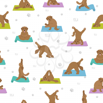 Yoga dogs poses and exercises poster design. Labradoodle seamless pattern. Vector illustration