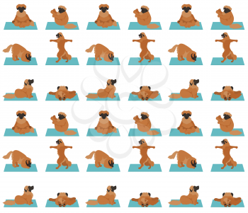 Yoga dogs poses and exercises poster design. Leonberger seamless pattern. Vector illustration