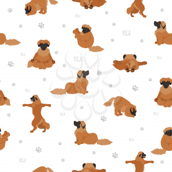 Yoga dogs poses and exercises poster design. Leonberger seamless pattern. Vector illustration