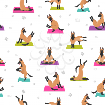 Yoga dogs poses and exercises poster design. Belgian malinois seamless pattern. Vector illustration