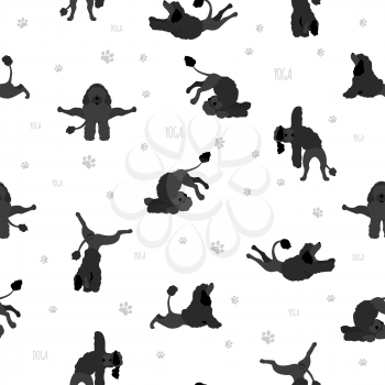 Yoga dogs poses and exercises poster design. Portuguese water dog  seamless pattern. Vector illustration