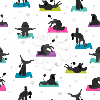 Yoga dogs poses and exercises poster design. Portuguese water dog  seamless pattern. Vector illustration