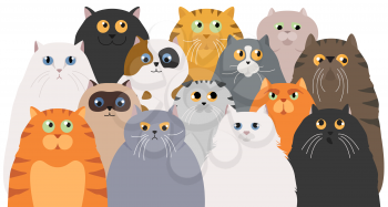 Cat poster. Cartoon cat characters collection. Different cat`s poses and emotions set. Flat color simple style design. Vector illustration